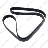 Ремень генератора Ниссан Кабстар (Nissan Cabstar), длинный, 1720MA70A