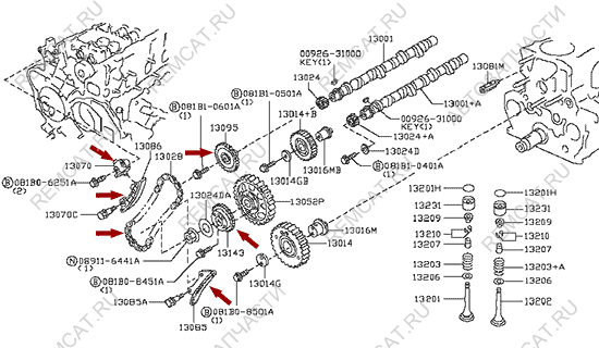 На схеме изображен ремкомплект ГРМ двигателя Ниссан Кабстар (Nissan Cabstar), Китай, 130282W200KIT