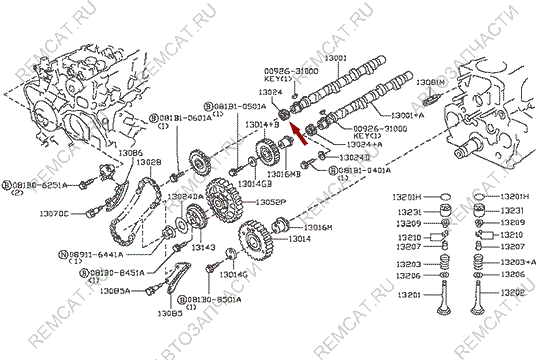 На схеме изображена шестерня впускного распредвала Ниссан Кабстар (Nissan Cabstar), 13024MA70A