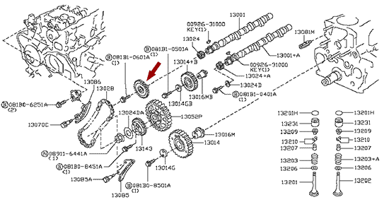 На схеме изображена звездочка распредвала Ниссан Кабстар (Nissan Cabstar), 13095MA70C